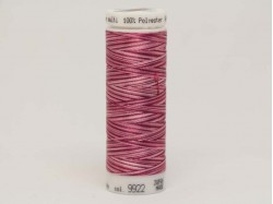 Нить для вышивания мультиколор POLY SHEEN MULTI, 200 м. (color 9922)
